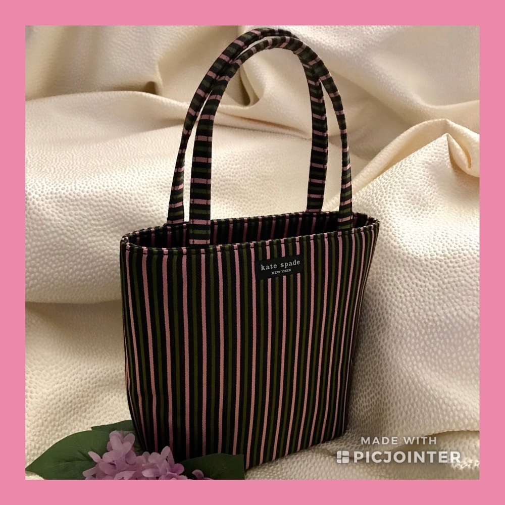 Kate Spade striped mini purse